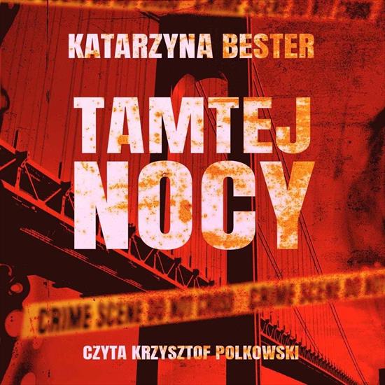 Bester Katarzyna - Detektyw Aidan Winters 1 - Tamtej nocy A - cover.jpg