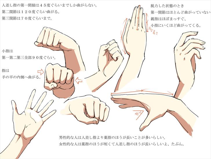 Arms - Hands 2 jp.jpg